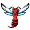 Delaware State Hornets