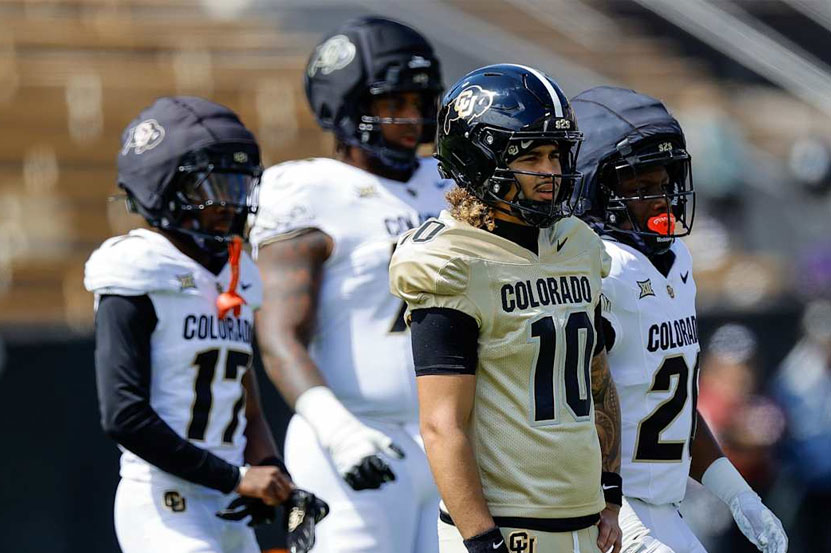 Lewis and Williams Plot Buffaloes Trick Play