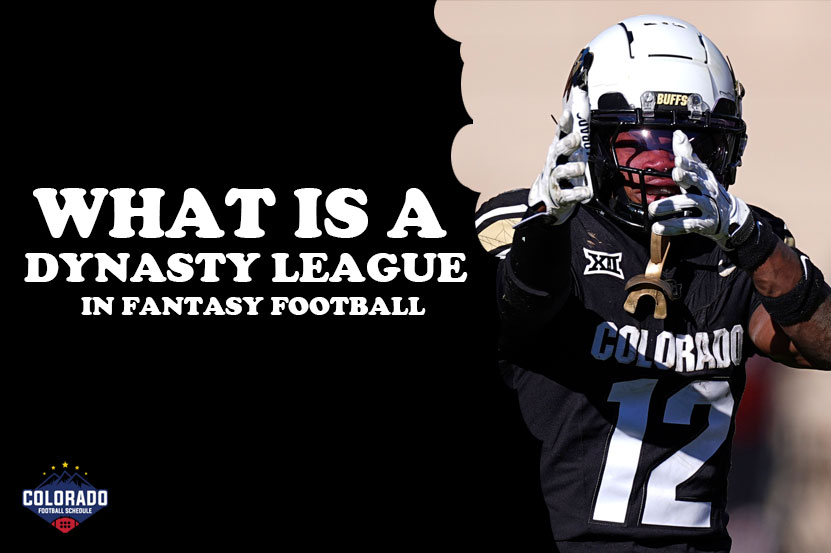 What Is a Dynasty League in Fantasy Football